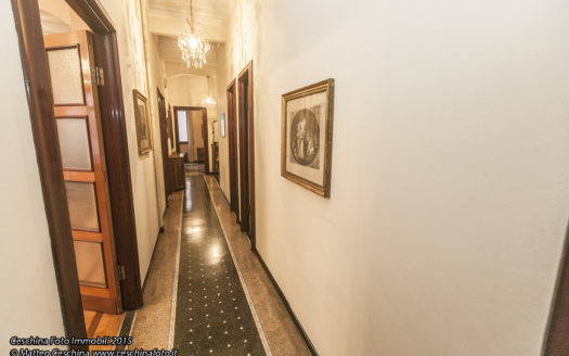 Studio/Abitazione in Albaro