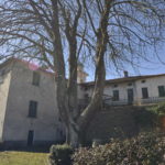 Castello in VENDITA - Pareto Alessandria - Messinalux