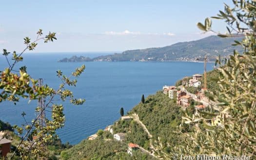 Villa con piscina e giardini vista golfo