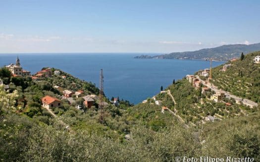 Villa con piscina e giardini vista golfo