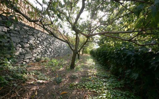 Villa a Vezzi Portio