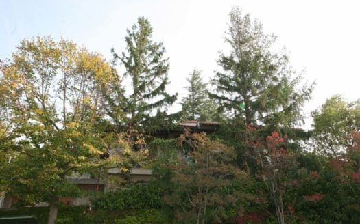 Villa a Vezzi Portio