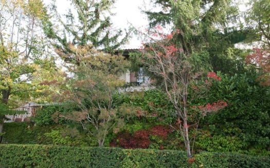 Villa a Vezzi Portio