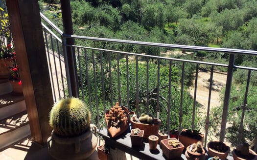 Villa di nuova costruzione