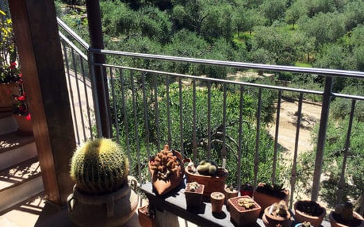 Villa di nuova costruzione