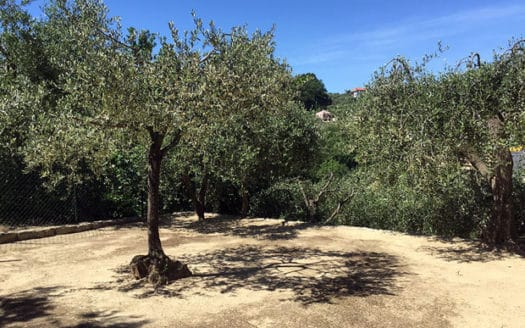 Villa di nuova costruzione