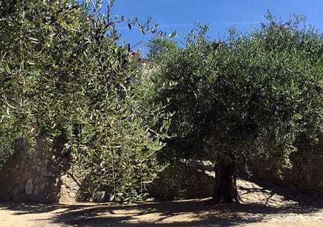 Villa di nuova costruzione