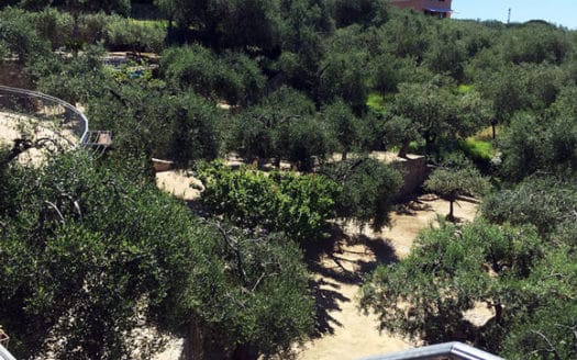 Villa di nuova costruzione