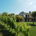 Villa Bicocca - Remax - Messinalux - Serravalle in vendita | Silvia Scagliotti