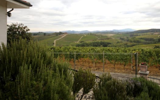 Villa sulle colline di Gavi